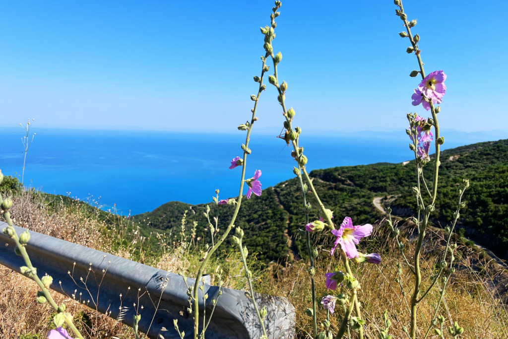 view from the mountains over the ocean in lefkada greece