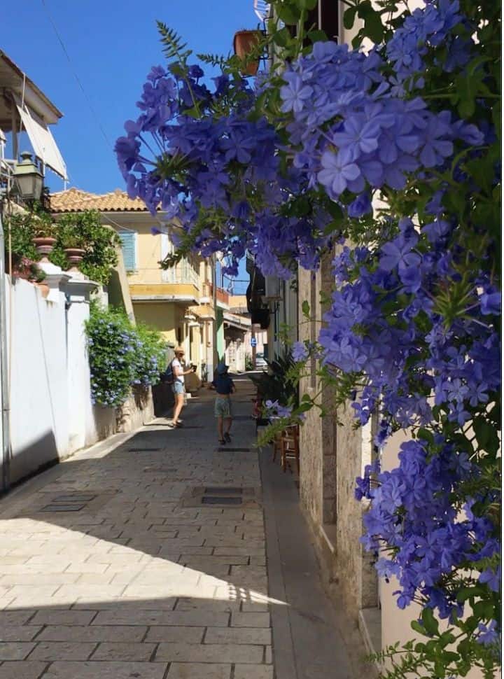 beautiful flowers and little streets at lefkada town