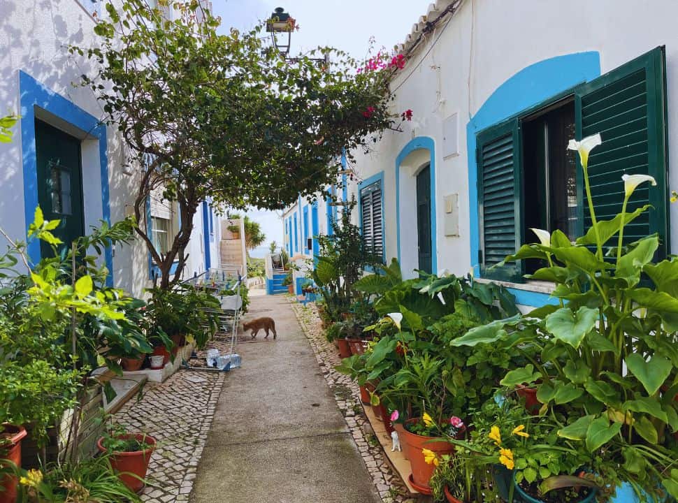 small street with flowers and plants at ferragudo