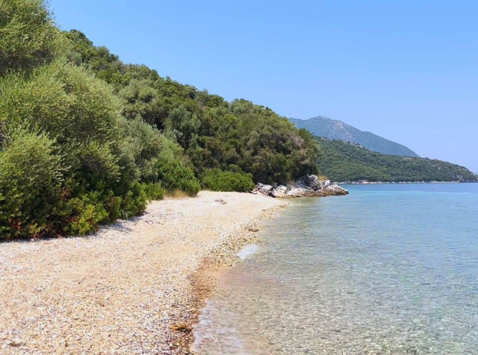 deserted beach with green vegetation and clear water