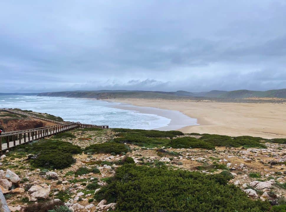 view of the beach bodaira