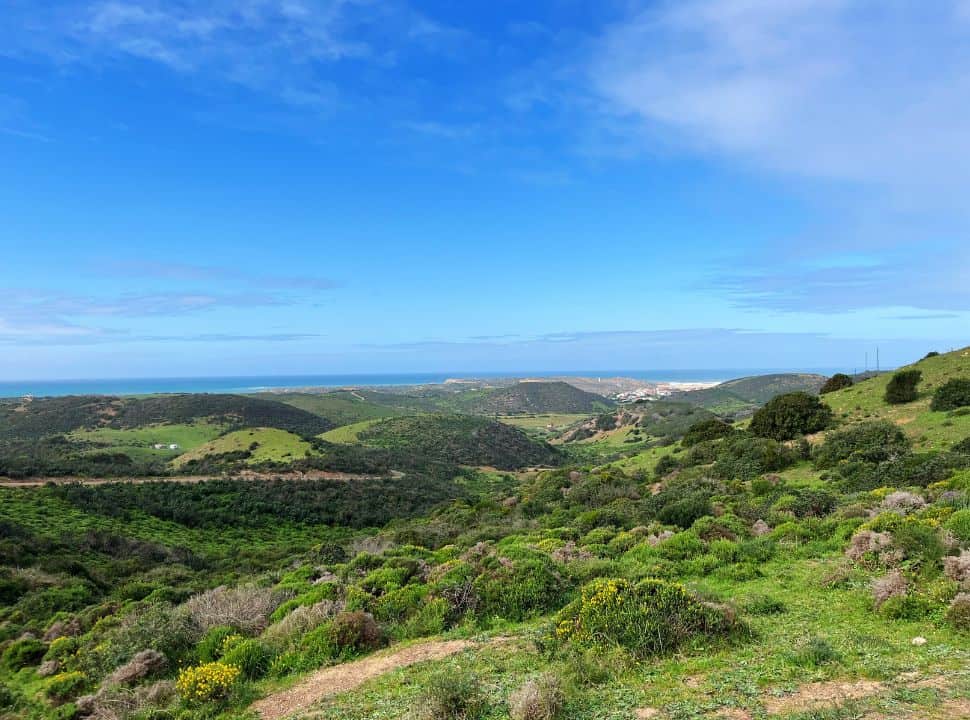 hill views with the atlantic ocean in the far distance