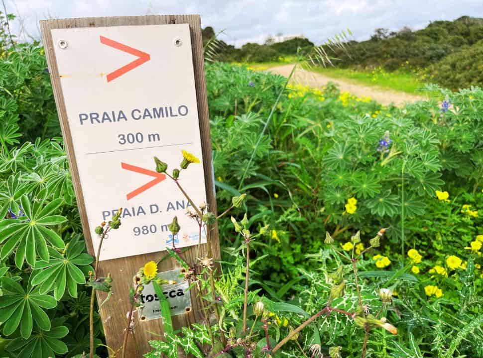 sign showing the way and distance to camilo and dona ana beach from ponta da piedade. 