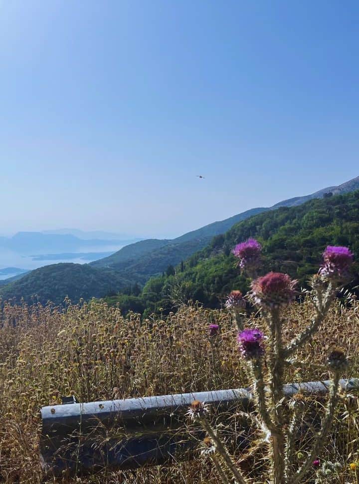 mountain flower and views over lefkada island