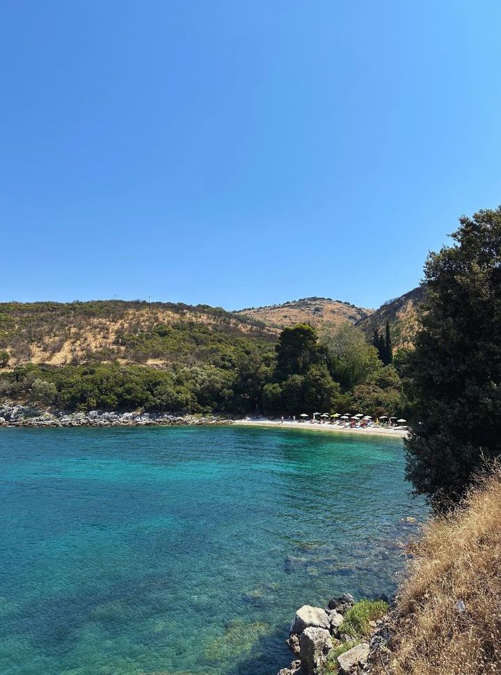 small bay beach surrounded by trees and set along a emerald blue and green sea