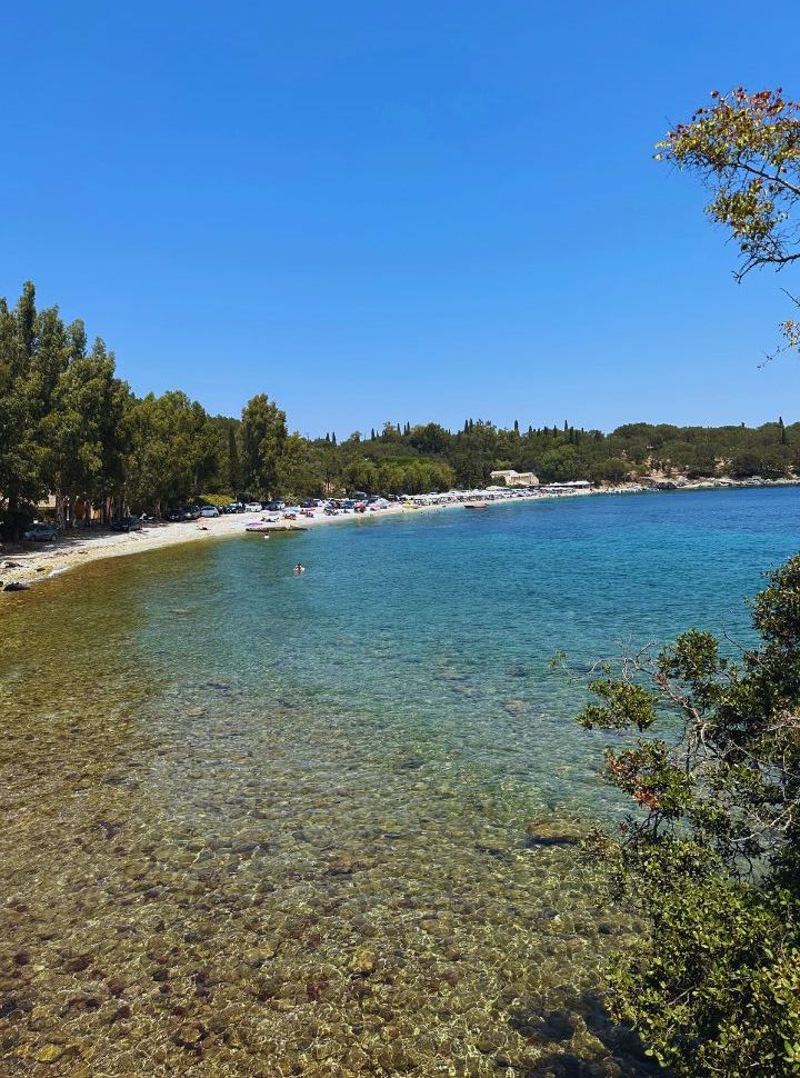 view of a beach with calm clear water