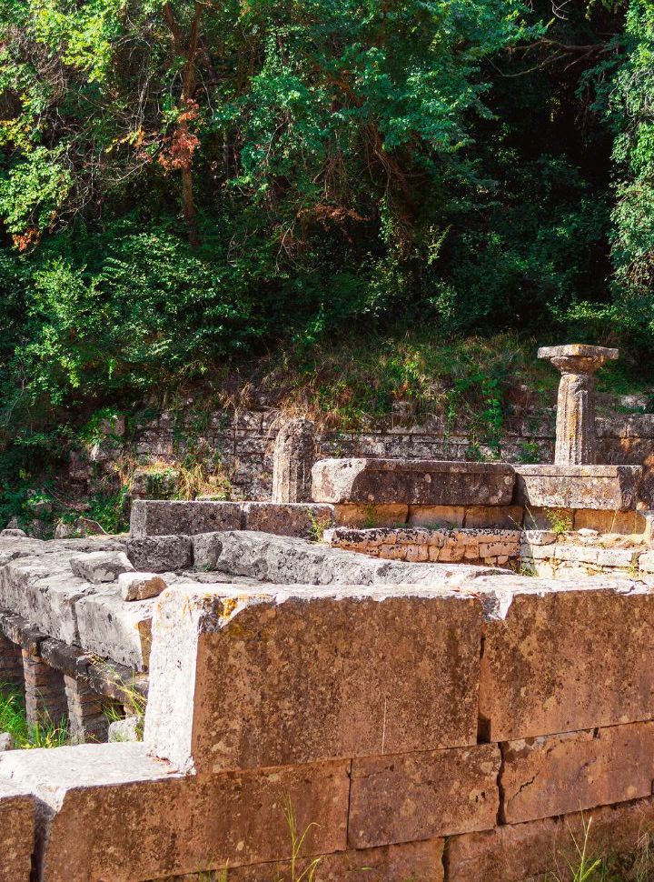 excavations surrounded by walls and vegetation