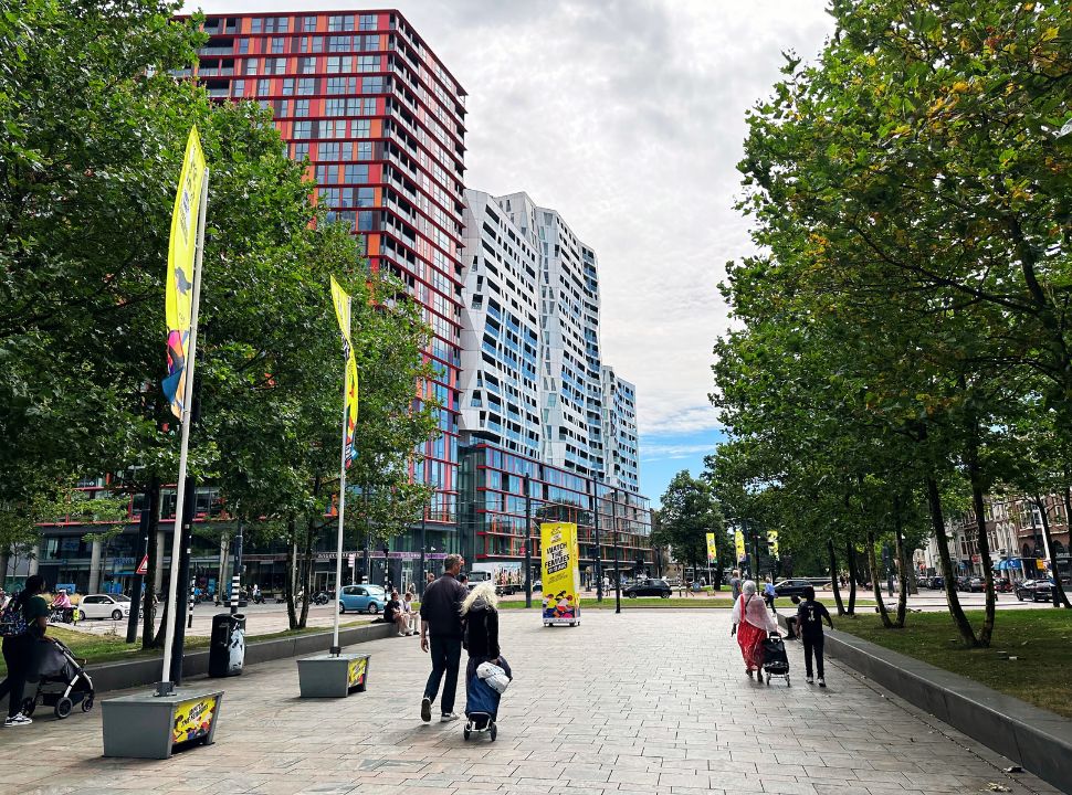 pedestrian walkway with trees on both sides and unusual looking buildings that make Rotterdam different then other cities