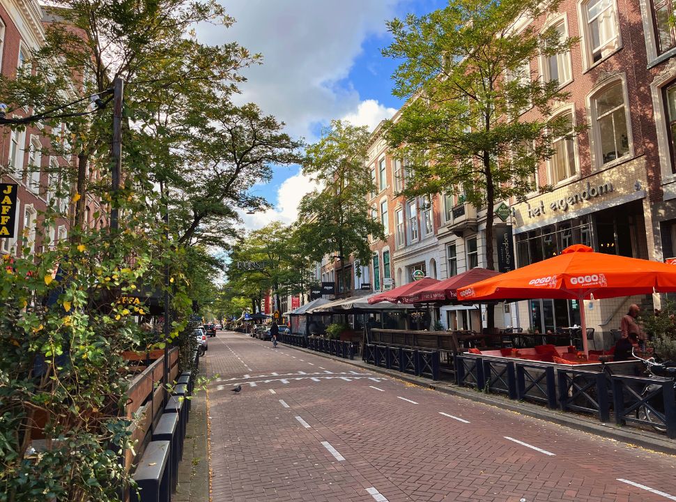 a famous street in Rotterdam with many restaurants with terraces