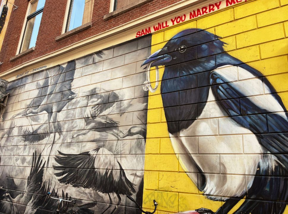 mural of a crow and cranes in Rotterdam