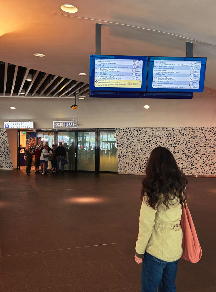 woman checking the departure times on a screen at delft station