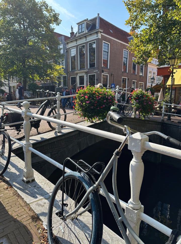 bicycle parked along the canal in delft