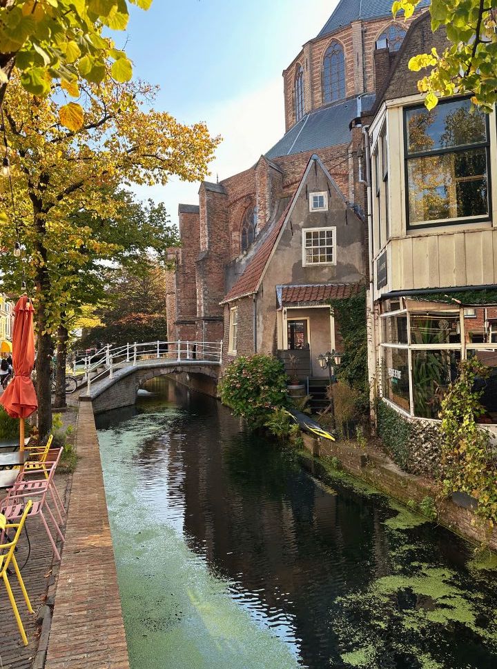 canal flowering along an outdoor terrece and the back of the new church in delft