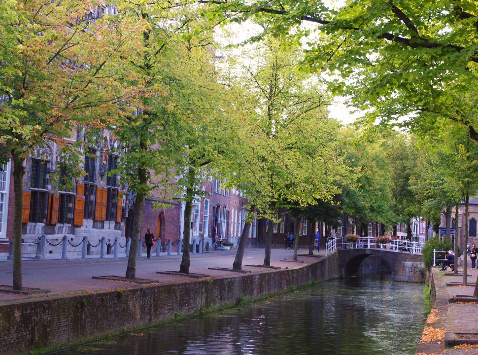 trees on both side of the canal in delft where the streets are quiet and have beautiful historic building