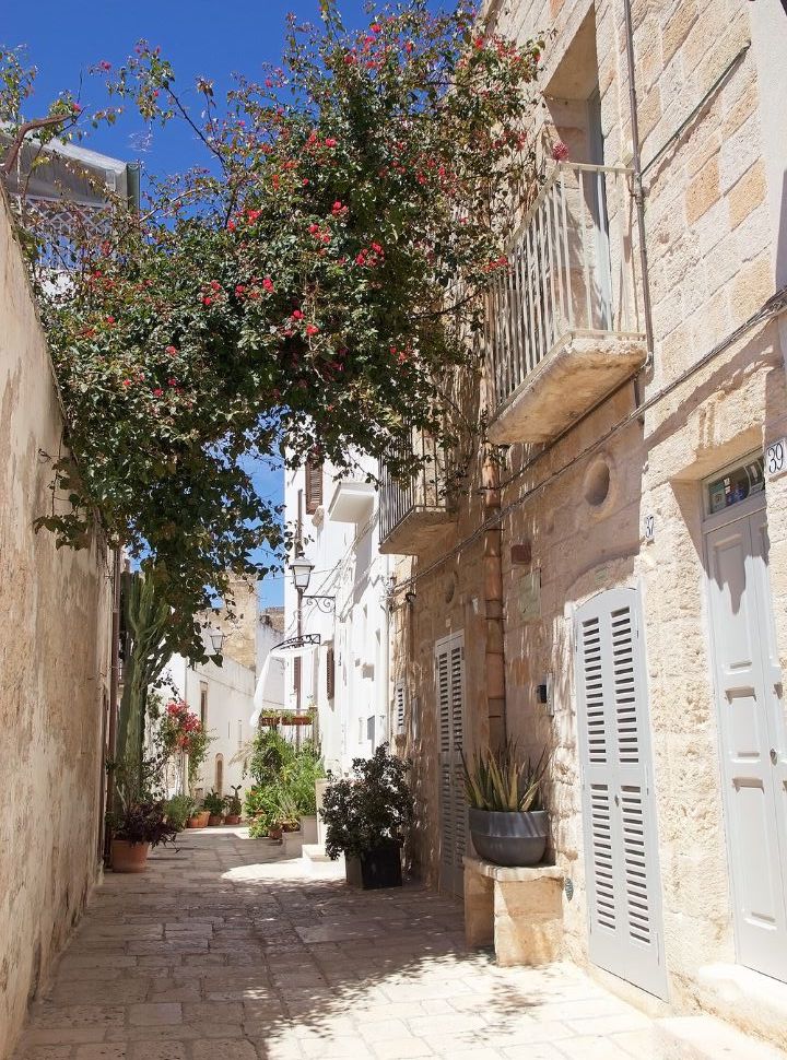 one of the many narrow streets with white washed buildings, flower decorated houses in Polignano a mare Puglia