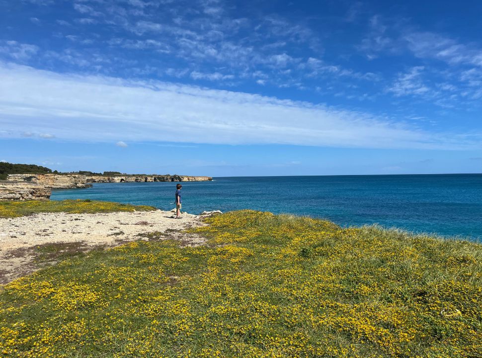 boy standing on the cliff edge taking in the ocean view, yellow flowers cover the ground at Baia Mulino d'aqua 