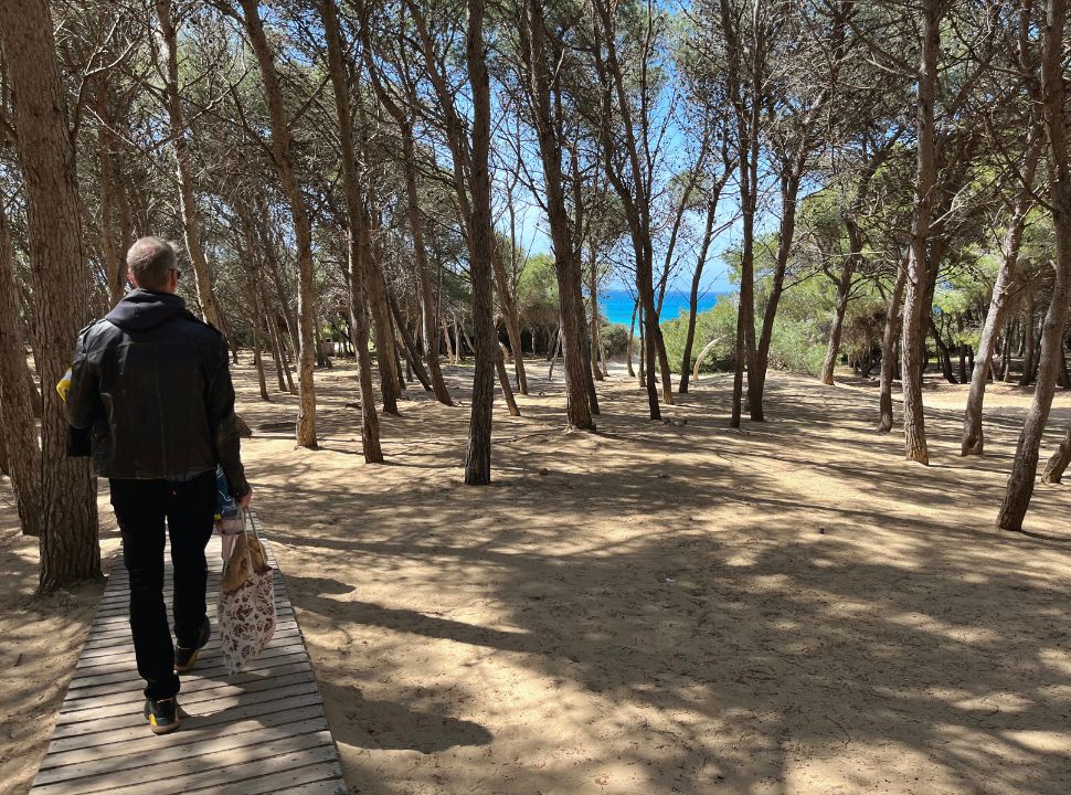 man walking on a wooden path through the trees, the blue ocean is visible in the distance at Punta della suing puglia italy