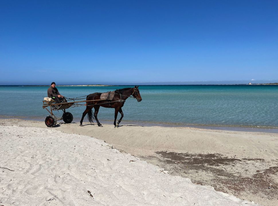 man with horse and cart walking over the white sanded beach with emerald blue water at Spiaggia Sant’isidoro Puglia Italy