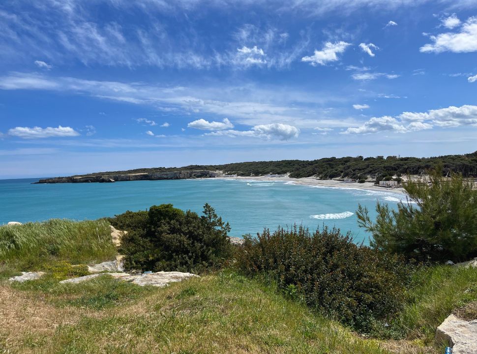 view of a beach with dunes and shrubs in puglia italy