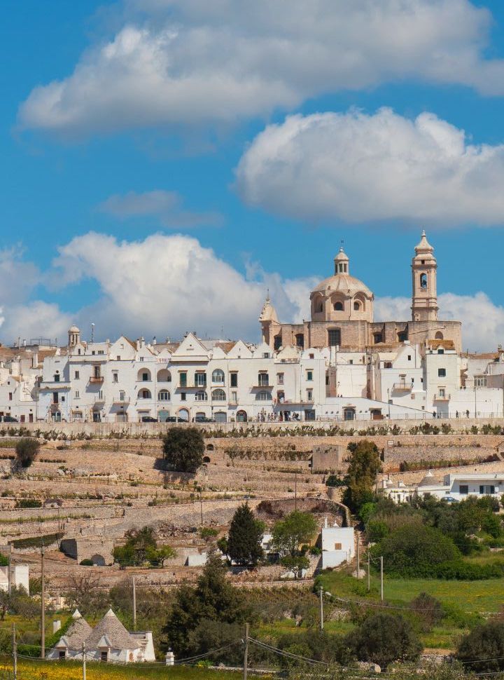 view of locorotondo, a little village on a hill and surrounded by olive groves with a couple of trulli houses in puglia
