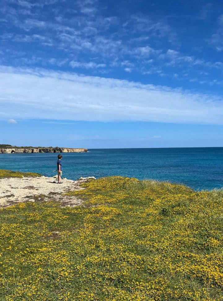 boy standing on a cliff covered with yellow flowers overlooking the adriatic ocean nearby otranto puglia