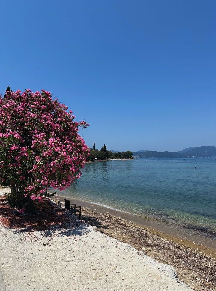 chair under a beautiful pink flowered tree at a small beach with calm blue water in the south east of corfu