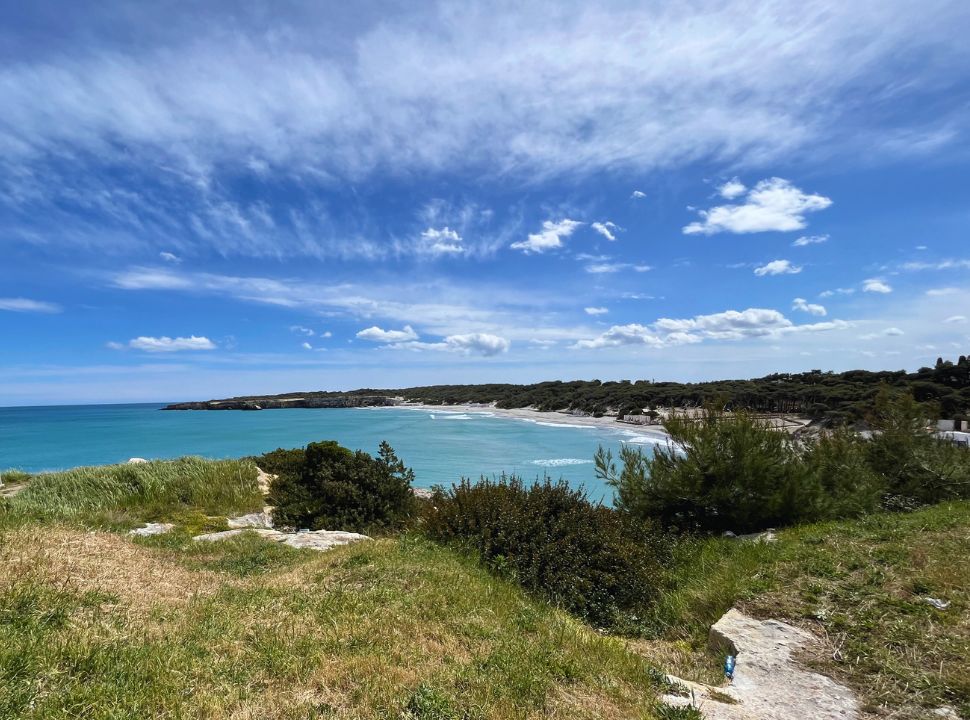 view from the cliffs of a white sandy beach with forests in Puglia