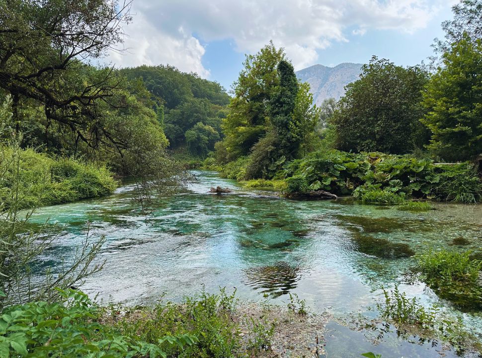 lush landscape of a river with crytal clear water at Blue Eye Albania