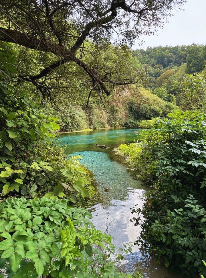 little side stream flowing into a clear emerald coloured stream surrounded by green lush vegetation in Albania