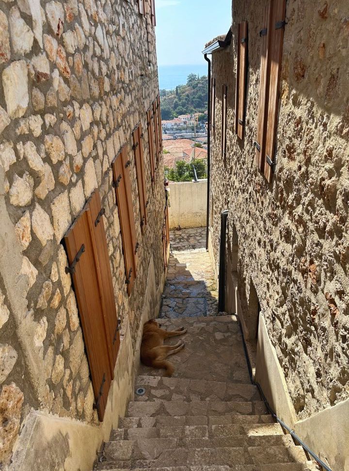 small narrow stairs where a dog is lseeping in the shade at Dhermi old Town Albania