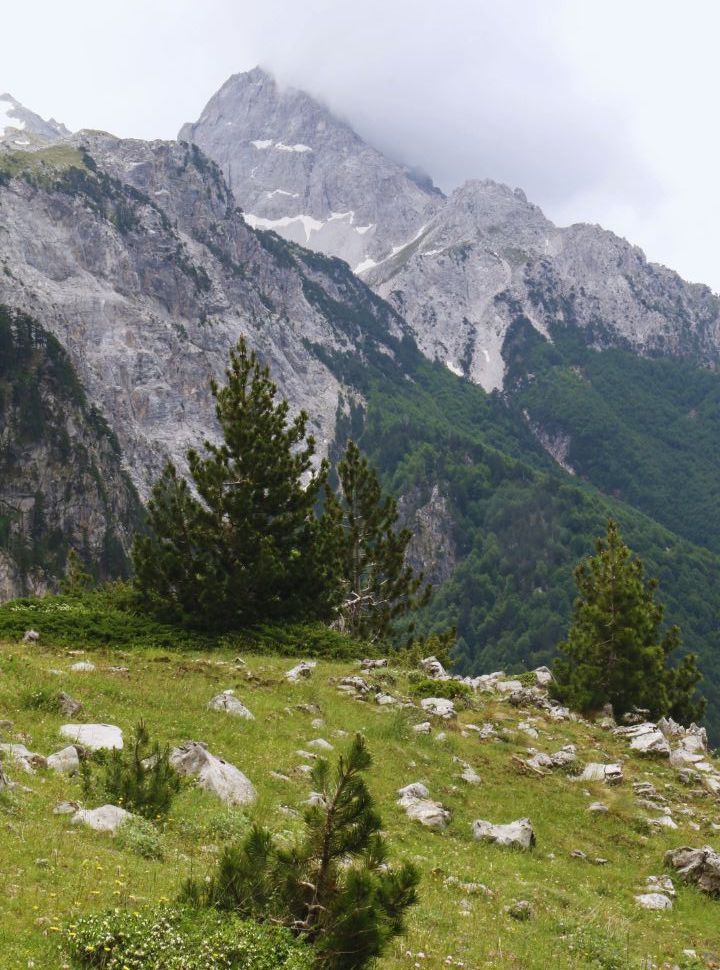 mountain landscape with rocky summits and green slopes in Albania