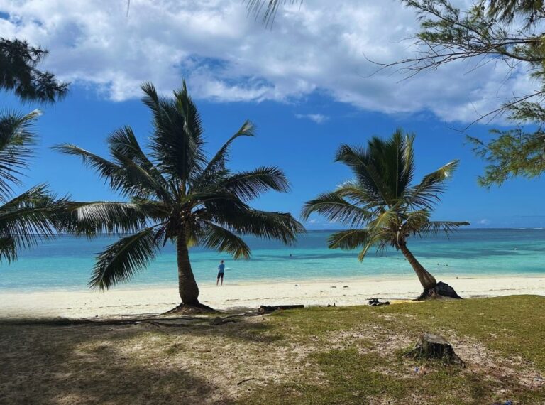 two palm trees on a white sanded beach with emerald blue ocean water at the back in mauritius