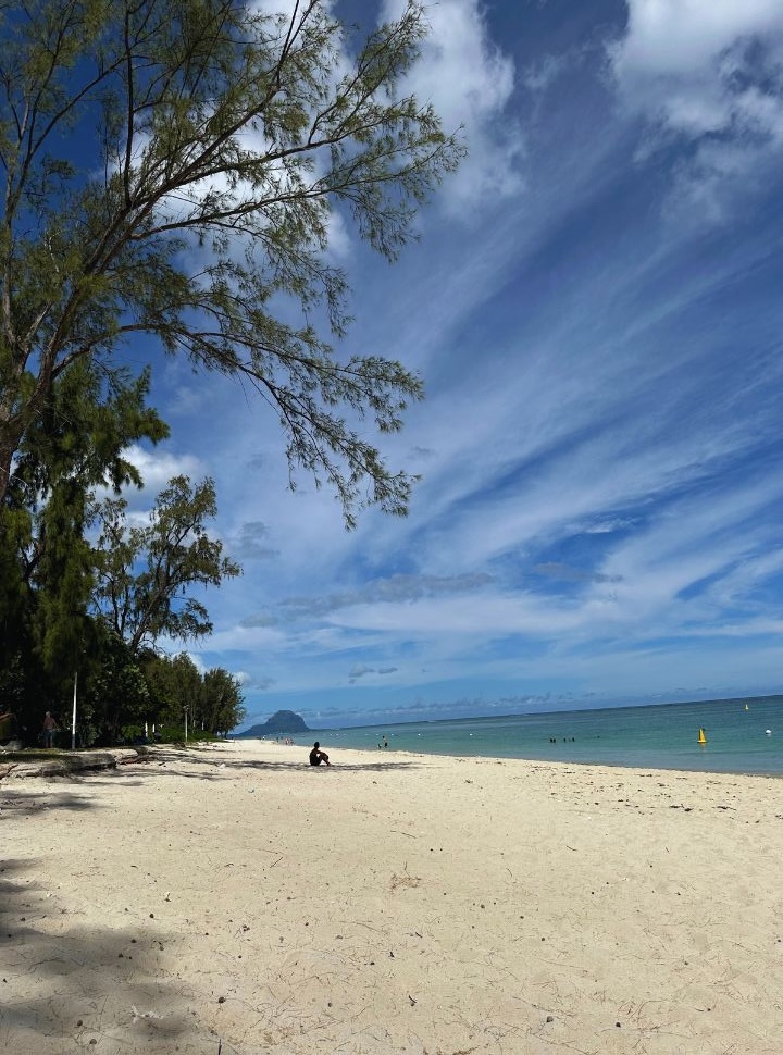quiet soft sanded beach with shade from the tall trees and a calm turquoise ocean in Mauritius