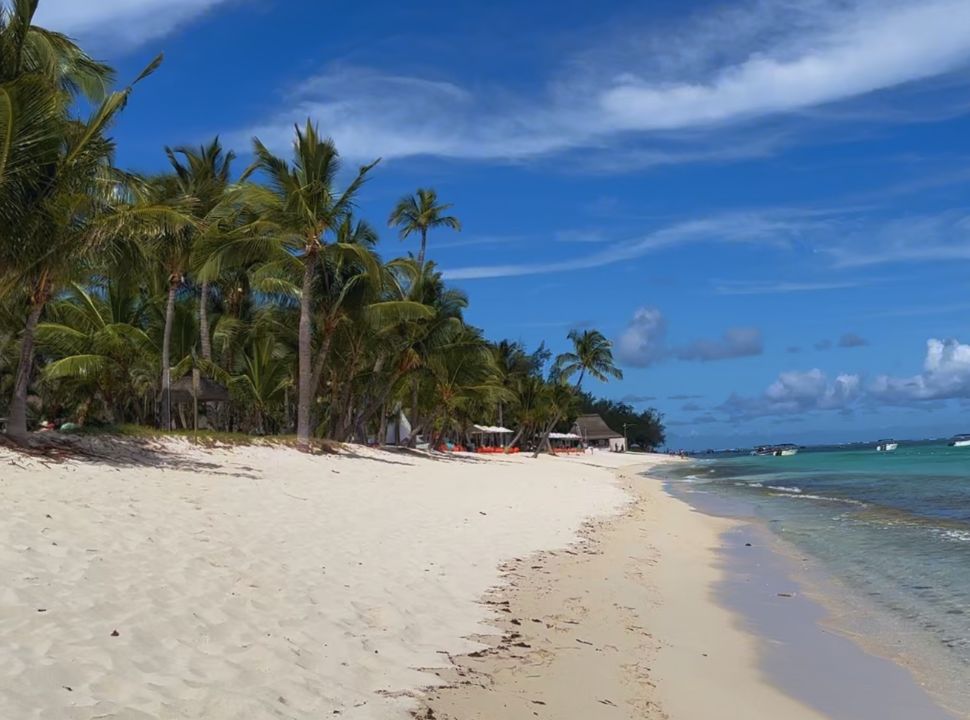 white soft sanded beach with a string of palm trees, in a distance you can see red sun loungers and white sun umbrellas. The water has a turquoise blue water.