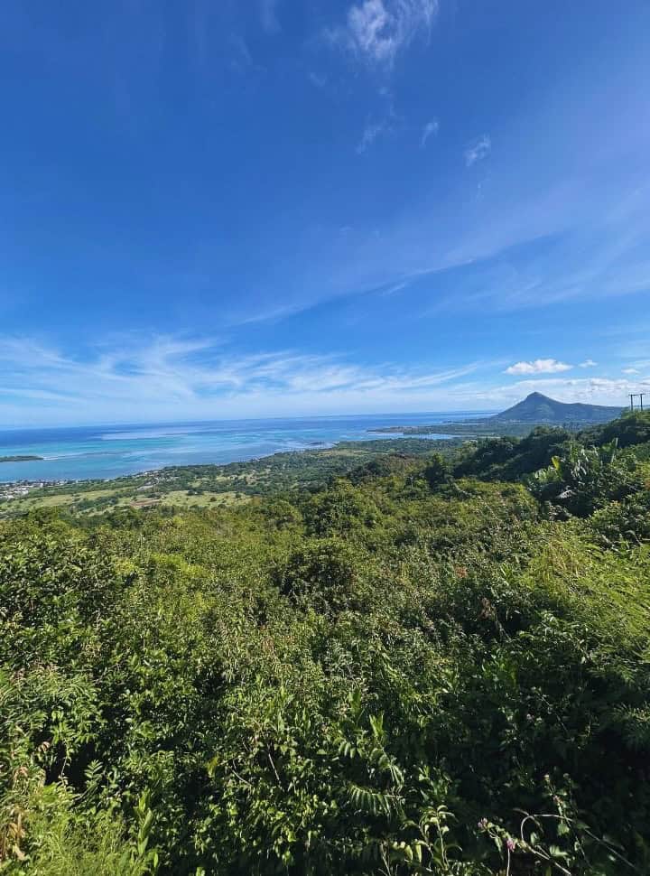 lush green valley with view of the ocean in the distance with the mountain in the right and a island in the left in Mauritius