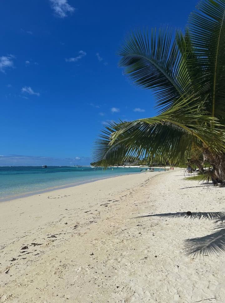 a tropical beach in Mauritius with no crowds, soft white sand, palm trees and a calm blue turquoise ocean water 