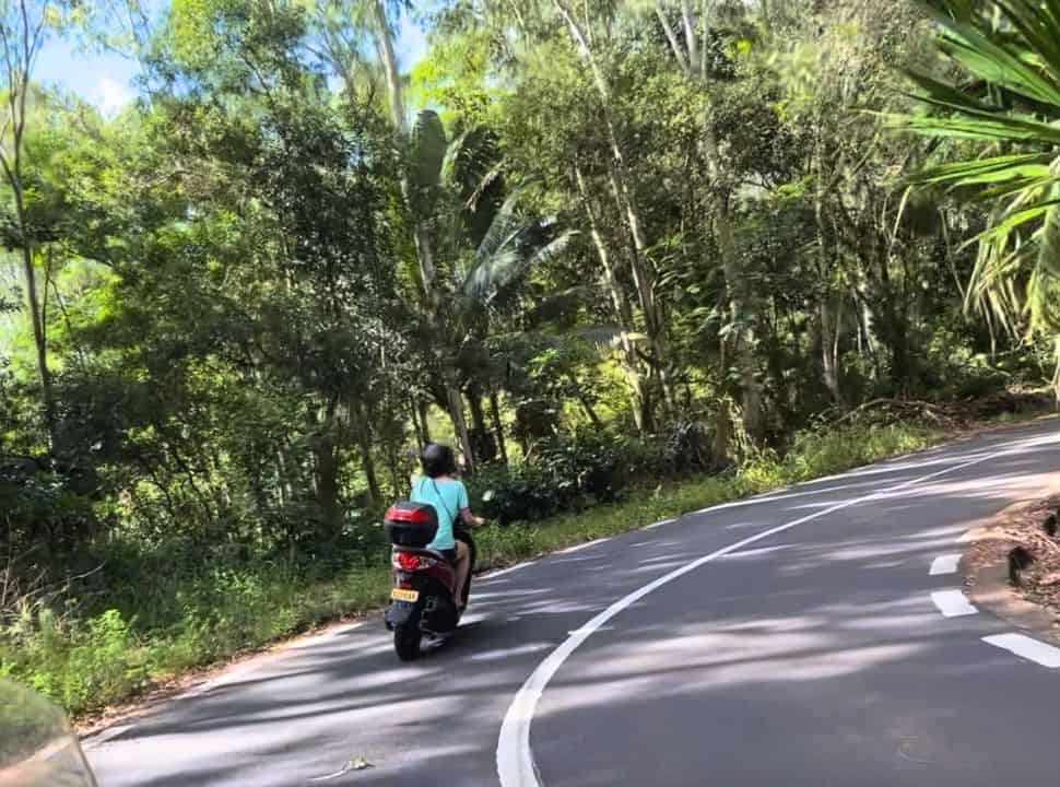 woman on a motor scooter driving the winding roads in the mountains of Mauritius, both sides of the road are covered with lush vegetation