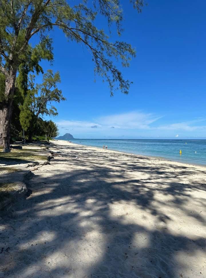shade of the trees covering the white sanded beach of Flic en Flac, known for its clear blue calm water