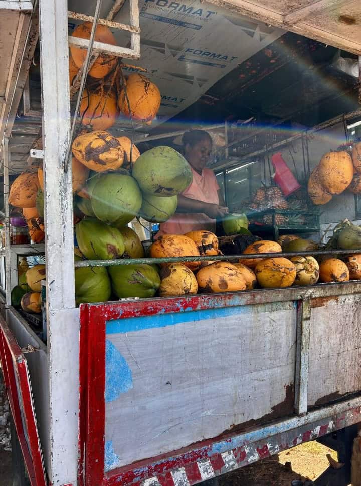 woman selling coconuts from a stall in Mauritius