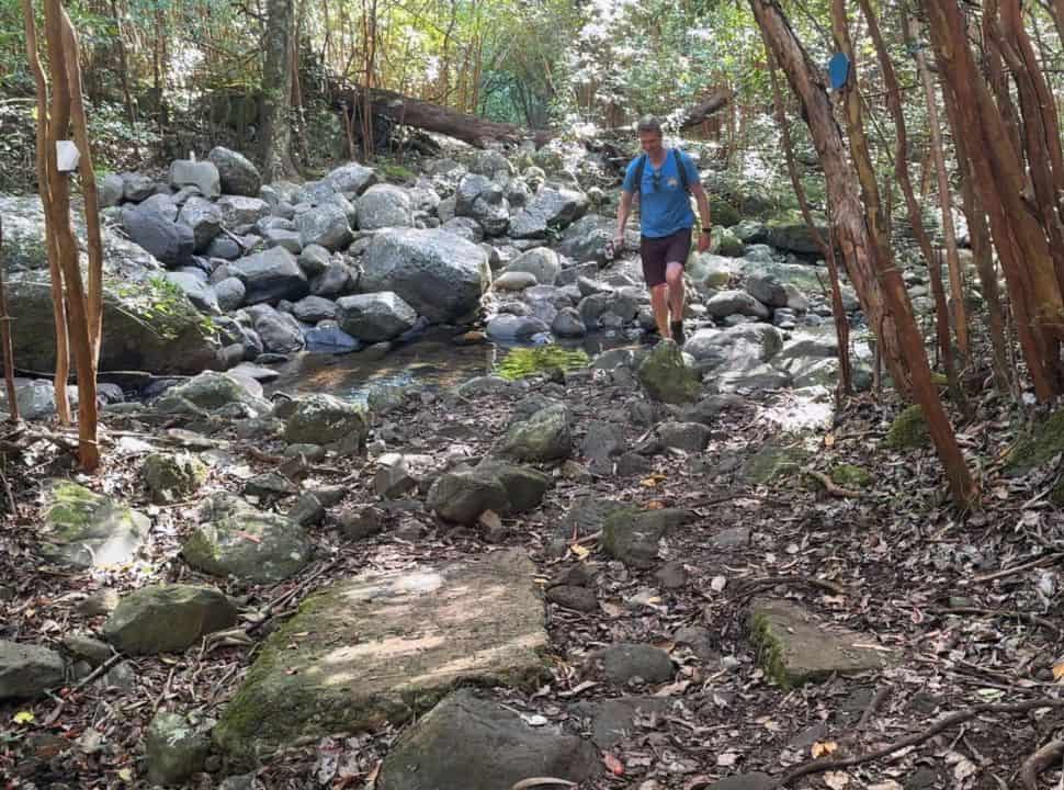 man crossing a stream while hiking in the forest in the Black River Gorge National Park Mauritius