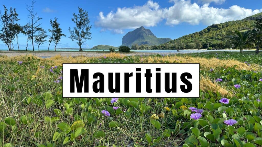 mauritius beach with flowers and le monte mountain in the back