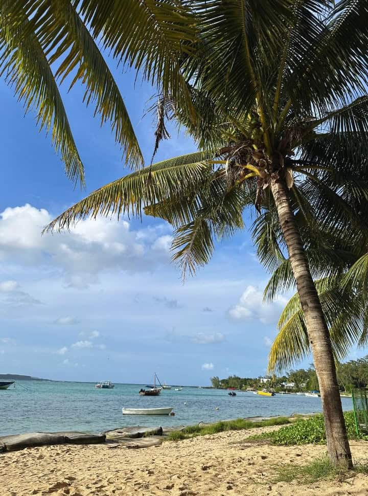 beach with palmtrees, boats are anchored nearby