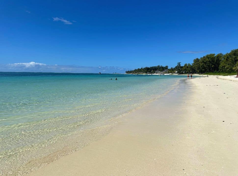 white sanded beach with clear water in the colors turquoise and blue, trees along the beach of Mauritius