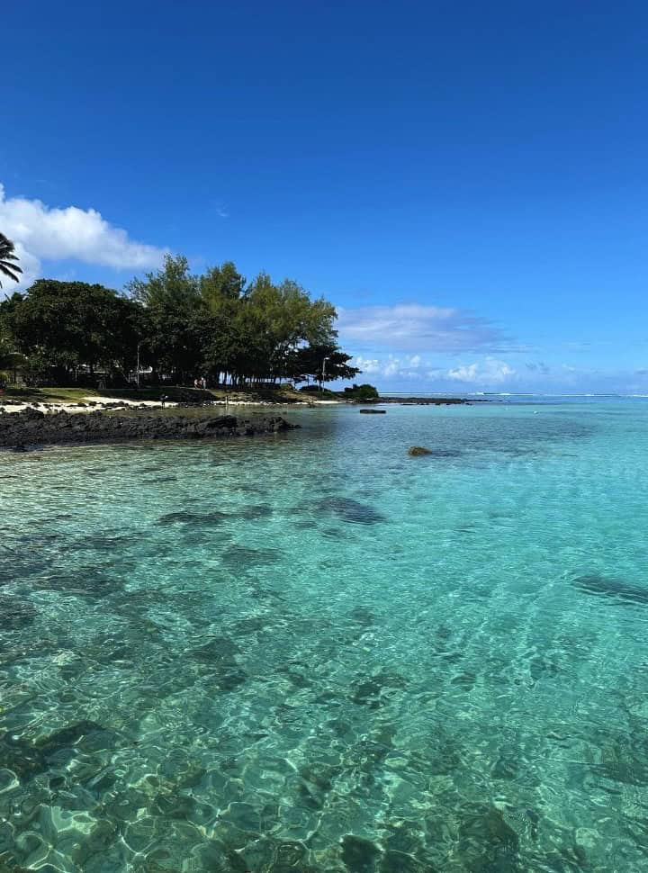 clear water with rocks visible, a beach is set on the left side with trees providing shade at Blue bay beach Mauritius