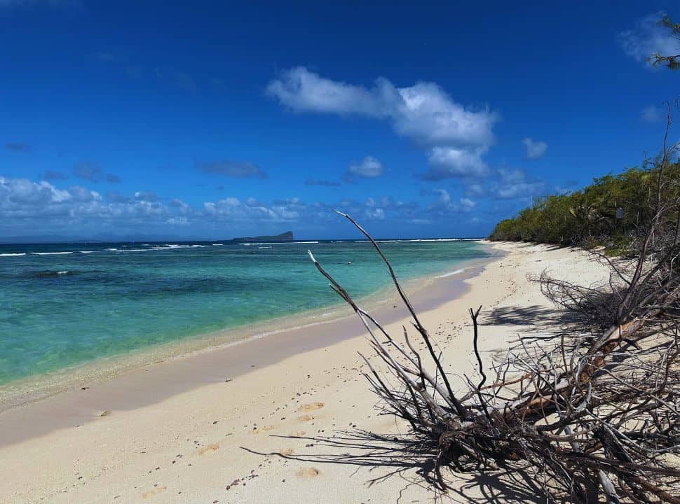 deserted white beach with turquoise water and scrubs along the beach in Mauritius