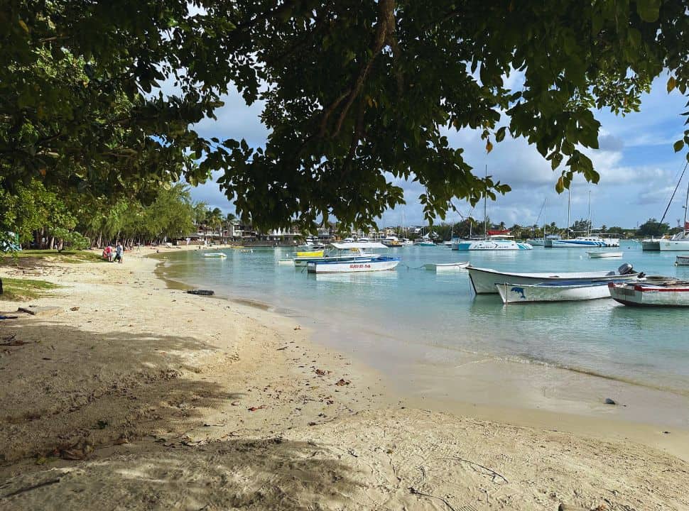 boat filled grand baie beach with lost of trees providing shade 