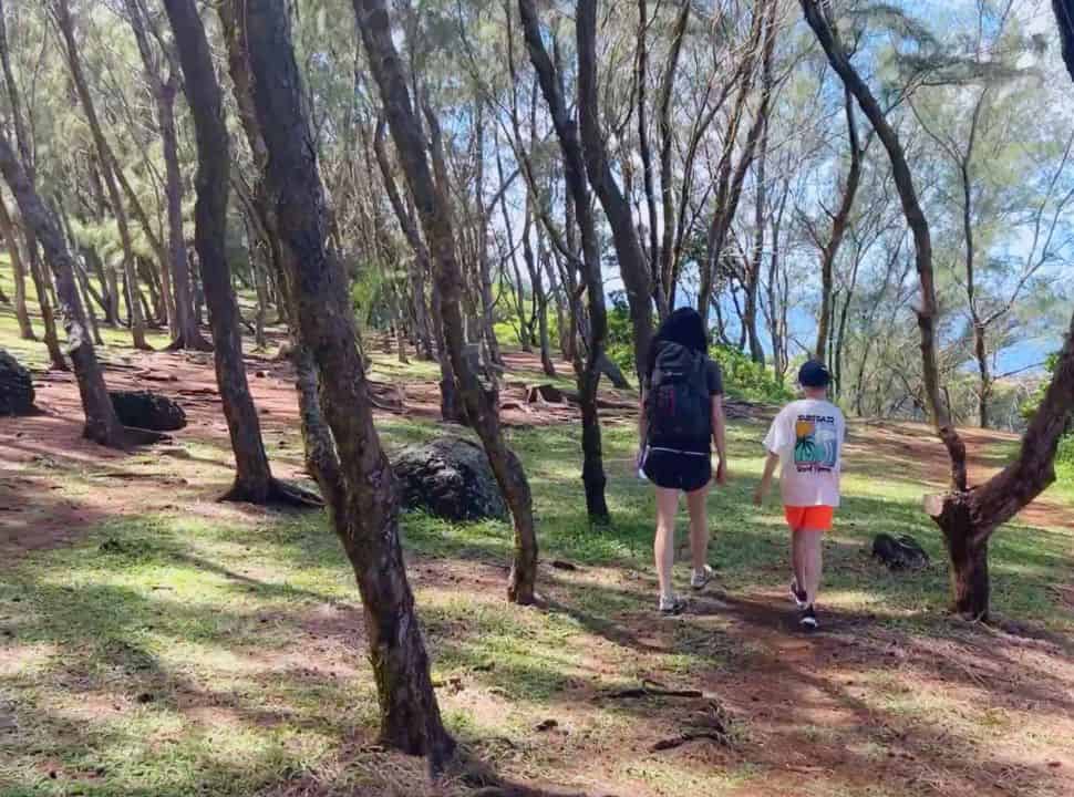 woman and son walking in the park with tall trees nearby Gris Gris Beach Mauritius