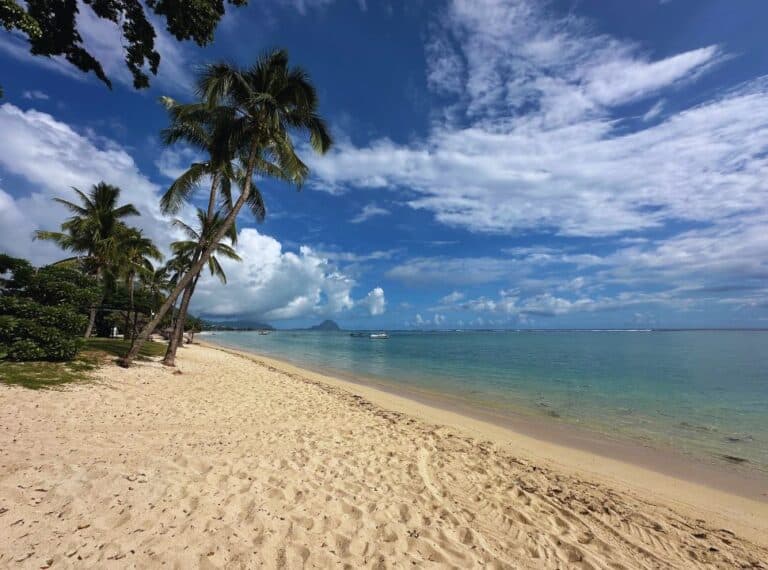 palm tree beach with sott sand, clear blue calm ocean water and a mountain on the horizon in mauritius