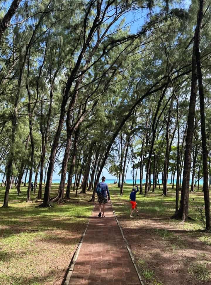 father and son walking along the walkway surrounded by tall trees with in the distance the ocean in Mauritius