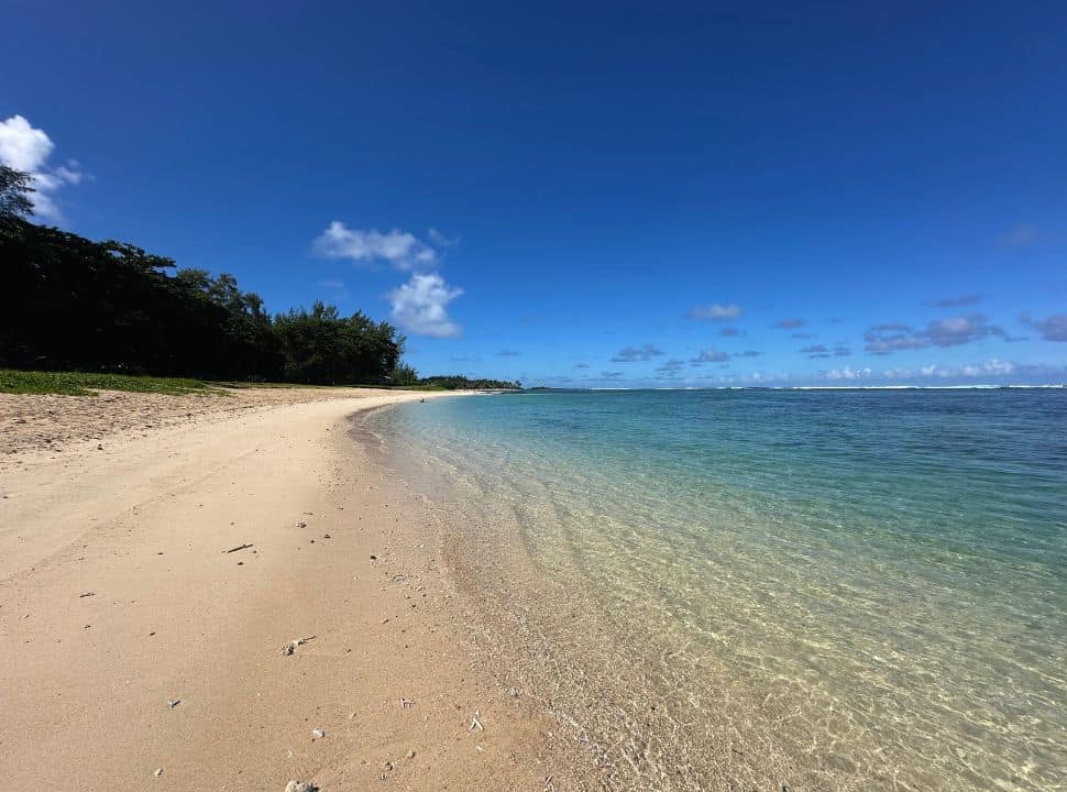 long stretched white sanded beach with clear ocean water and green tall trees at the beach edge in the south of Mauritius
